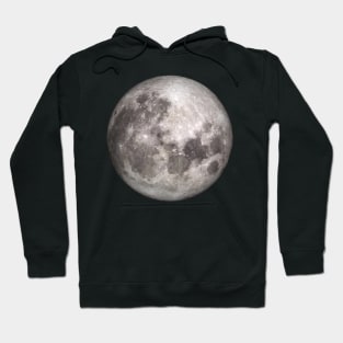 gray full moon up close photo NASA Hoodie